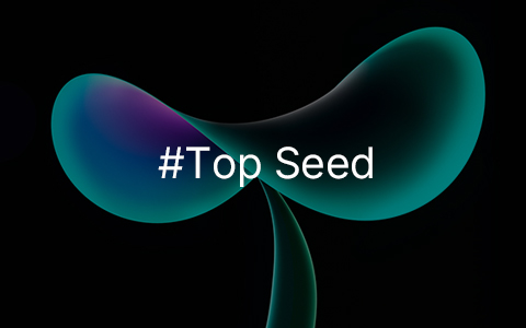 字节跳动TOP Seed 人才计划 2026 届正式启动