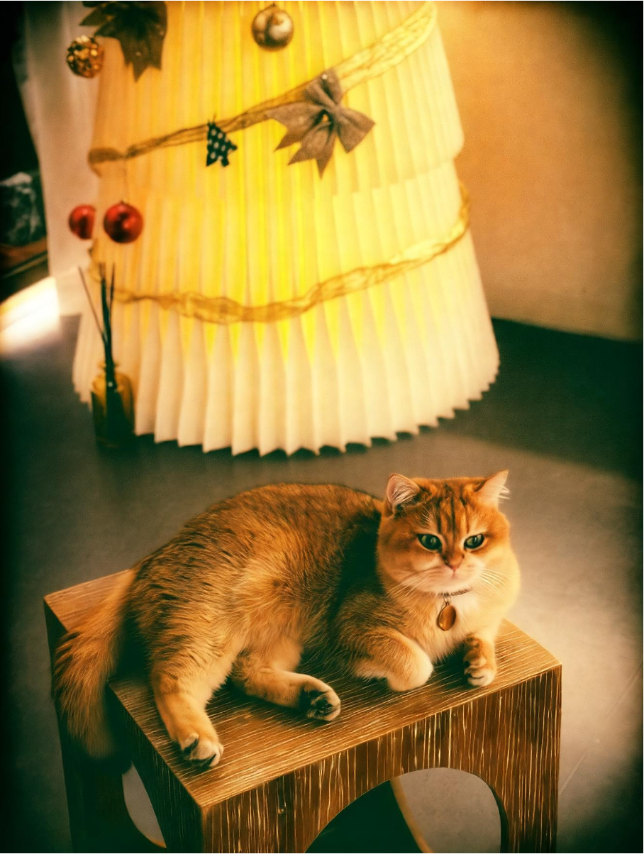 After: filtered photo